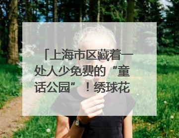 上海市区藏着一处人少免费的“童话公园”！绣球花海、金色秘境……地铁直达→