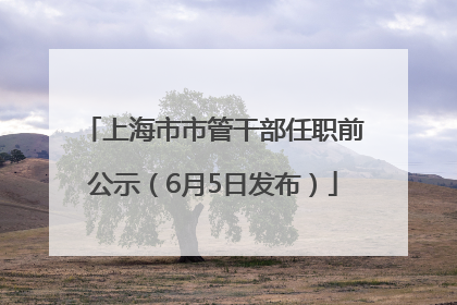 上海市市管干部任职前公示（6月5日发布）