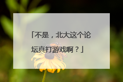 不是，北大这个论坛真打游戏啊？