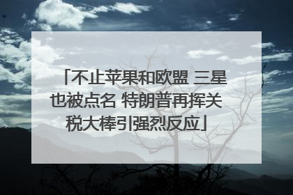 不止苹果和欧盟 三星也被点名 特朗普再挥关税大棒引强烈反应