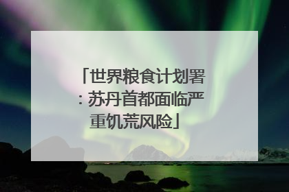 世界粮食计划署：苏丹首都面临严重饥荒风险