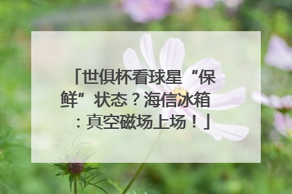 世俱杯看球星“保鲜”状态？海信冰箱：真空磁场上场！