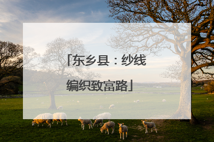 东乡县：纱线编织致富路