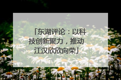 东湖评论：以科技创新聚力，推动江汉欣欣向荣