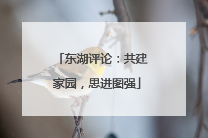 东湖评论：共建家园，思进图强