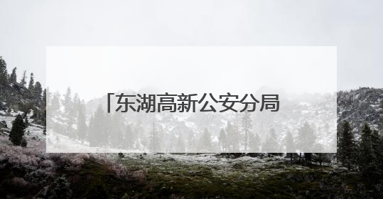 东湖高新公安分局九峰派出所考场外服务不“打烊”