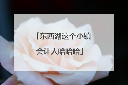东西湖这个小镇会让人哈哈哈