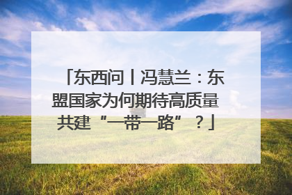 东西问丨冯慧兰：东盟国家为何期待高质量共建“一带一路”？