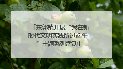 东郭镇开展“我在新时代文明实践所过端午”主题系列活动