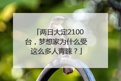 两日大定2100台，梦想家为什么受这么多人青睐？