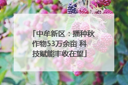 中牟新区：播种秋作物53万余亩 科技赋能丰收在望