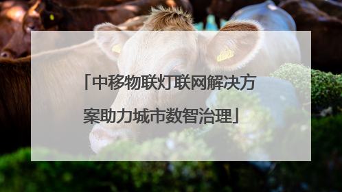 中移物联灯联网解决方案助力城市数智治理