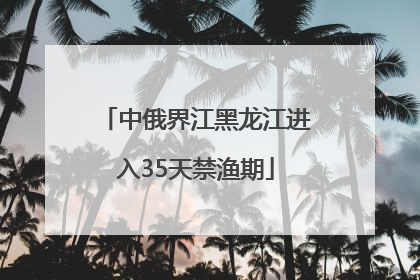 中俄界江黑龙江进入35天禁渔期