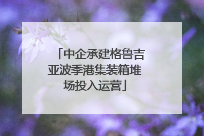 中企承建格鲁吉亚波季港集装箱堆场投入运营