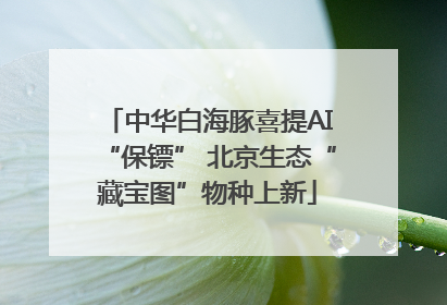中华白海豚喜提AI“保镖” 北京生态“藏宝图”物种上新