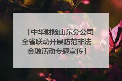 中华财险山东分公司全省联动开展防范非法金融活动专题宣传