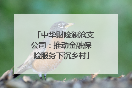 中华财险澜沧支公司：推动金融保险服务下沉乡村