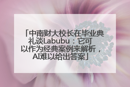 中南财大校长在毕业典礼谈Labubu：它可以作为经典案例来解析，AI难以给出答案
