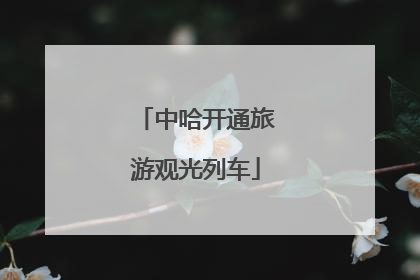 中哈开通旅游观光列车