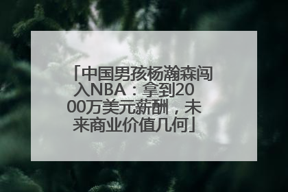 中国男孩杨瀚森闯入NBA：拿到2000万美元薪酬，未来商业价值几何