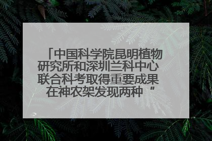 中国科学院昆明植物研究所和深圳兰科中心联合科考取得重要成果 在神农架发现两种“国保”级兰花