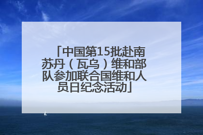 中国第15批赴南苏丹（瓦乌）维和部队参加联合国维和人员日纪念活动