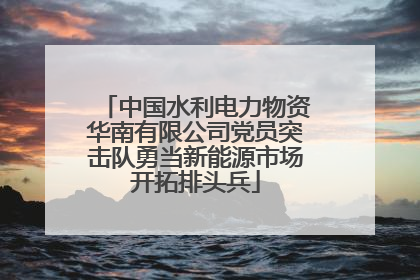 中国水利电力物资华南有限公司党员突击队勇当新能源市场开拓排头兵