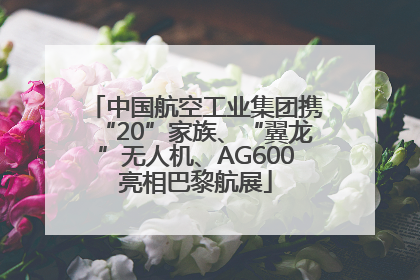 中国航空工业集团携“20”家族、“翼龙”无人机、AG600亮相巴黎航展