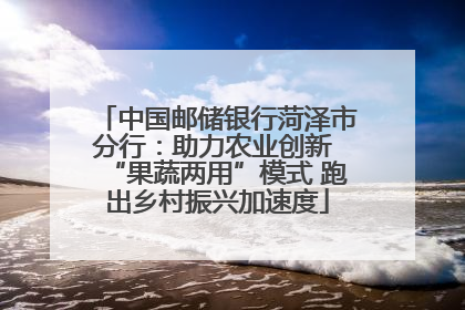 中国邮储银行菏泽市分行：助力农业创新 “果蔬两用”模式 跑出乡村振兴加速度
