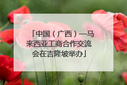 中国（广西）—马来西亚工商合作交流会在吉隆坡举办