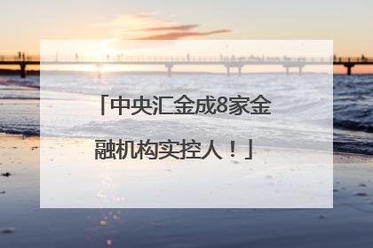 中央汇金成8家金融机构实控人！
