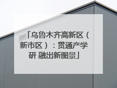 乌鲁木齐高新区（新市区）：贯通产学研 融出新图景