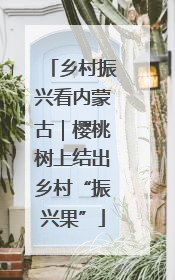 乡村振兴看内蒙古｜樱桃树上结出乡村“振兴果”