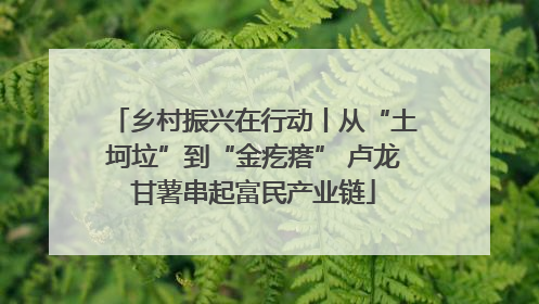 乡村振兴在行动丨从“土坷垃”到“金疙瘩” 卢龙甘薯串起富民产业链