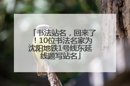 书法站名，回来了！10位书法名家为沈阳地铁1号线东延线题写站名