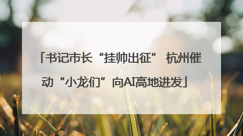 书记市长“挂帅出征” 杭州催动“小龙们”向AI高地进发