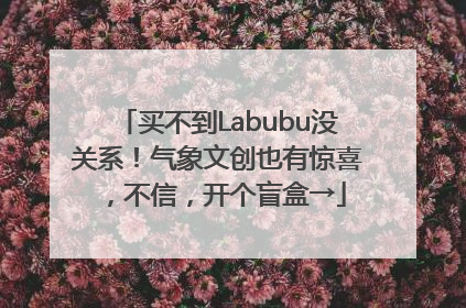 买不到Labubu没关系！气象文创也有惊喜，不信，开个盲盒→