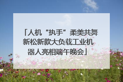 人机“执手”柔美共舞 新松新款大负载工业机器人亮相端午晚会