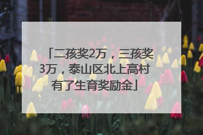 二孩奖2万，三孩奖3万，泰山区北上高村有了生育奖励金