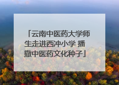 云南中医药大学师生走进西冲小学 播撒中医药文化种子