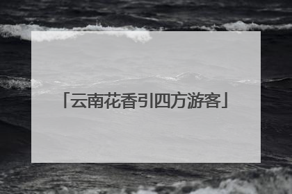 云南花香引四方游客
