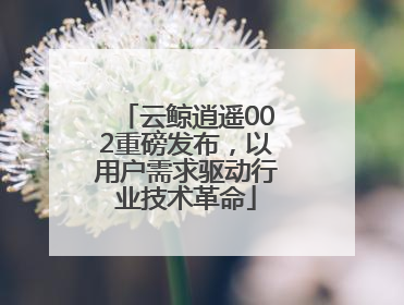云鲸逍遥002重磅发布，以用户需求驱动行业技术革命