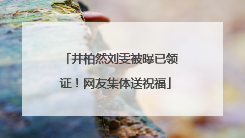 井柏然刘雯被曝已领证！网友集体送祝福