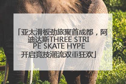 亚太滑板劲旅聚首成都，阿迪达斯THREE STRIPE SKATE HYPE开启竞技潮流双重狂欢