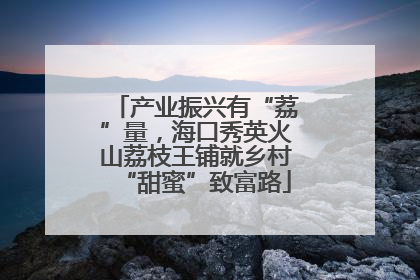 产业振兴有“荔”量，海口秀英火山荔枝王铺就乡村“甜蜜”致富路