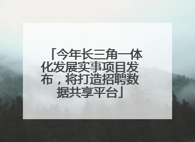 今年长三角一体化发展实事项目发布，将打造招聘数据共享平台