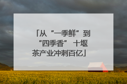 从“一季鲜”到“四季香” 十堰茶产业冲刺百亿