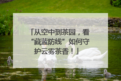 从空中到茶园，看“藏蓝防线”如何守护云雾茶香！