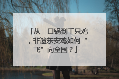 从一口锅到千只鸡，非遗东安鸡如何“飞”向全国？