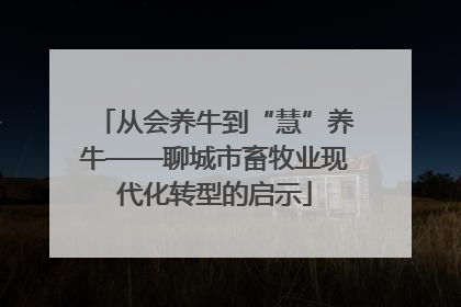 从会养牛到“慧”养牛——聊城市畜牧业现代化转型的启示